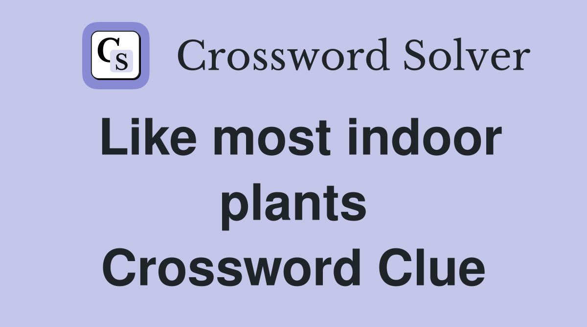 Like most indoor plants Crossword Clue