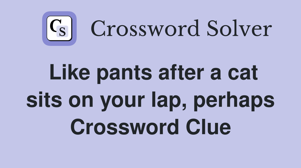 Like pants after a cat sits on your lap, perhaps Crossword Clue