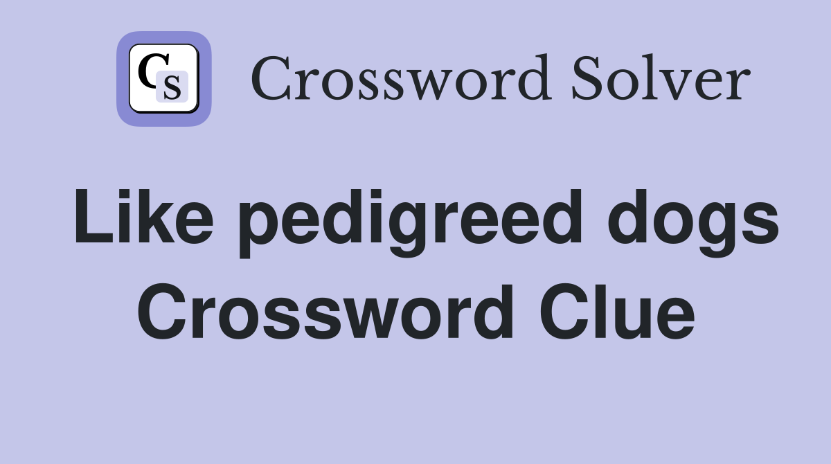 Like pedigreed dogs Crossword Clue