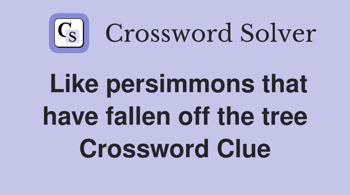 Like persimmons that have fallen off the tree Crossword Clue