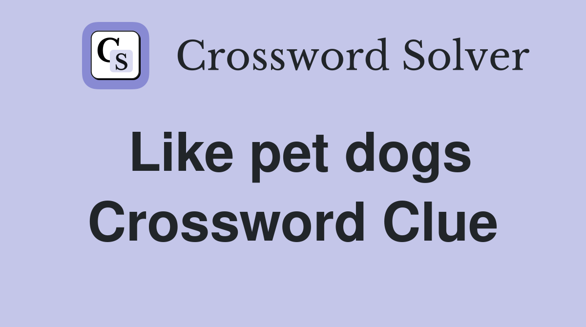 Like pet dogs Crossword Clue