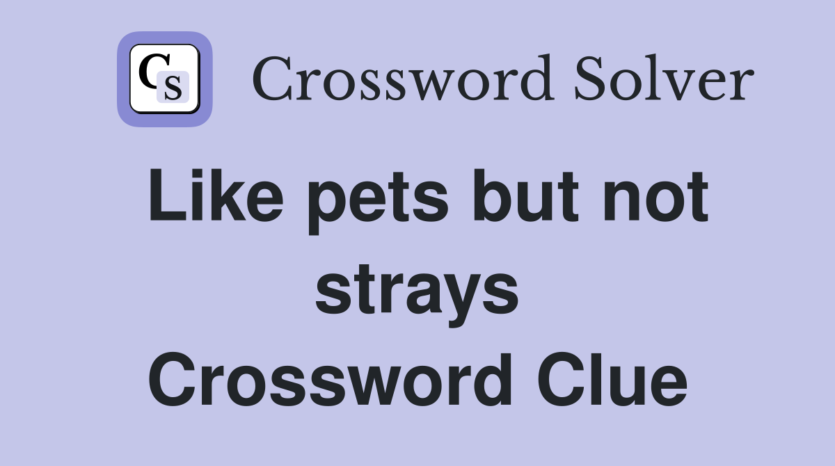 Like pets but not strays Crossword Clue