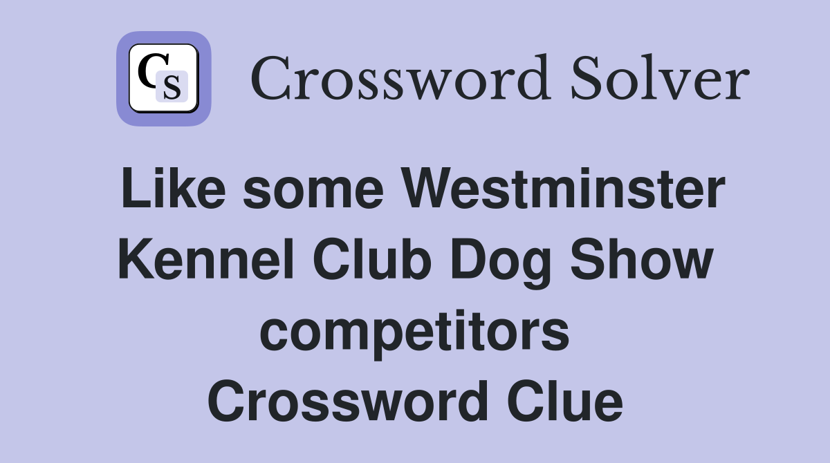Like some Westminster Kennel Club Dog Show competitors Crossword Clue