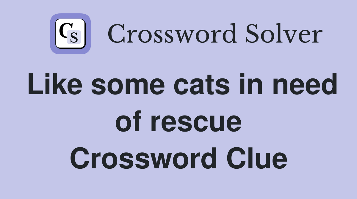 Like some cats in need of rescue Crossword Clue