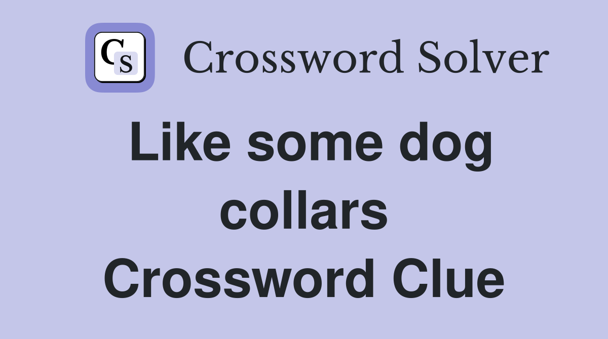 Like some dog collars Crossword Clue
