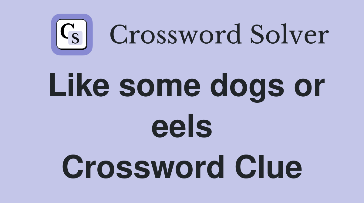 Like some dogs or eels Crossword Clue