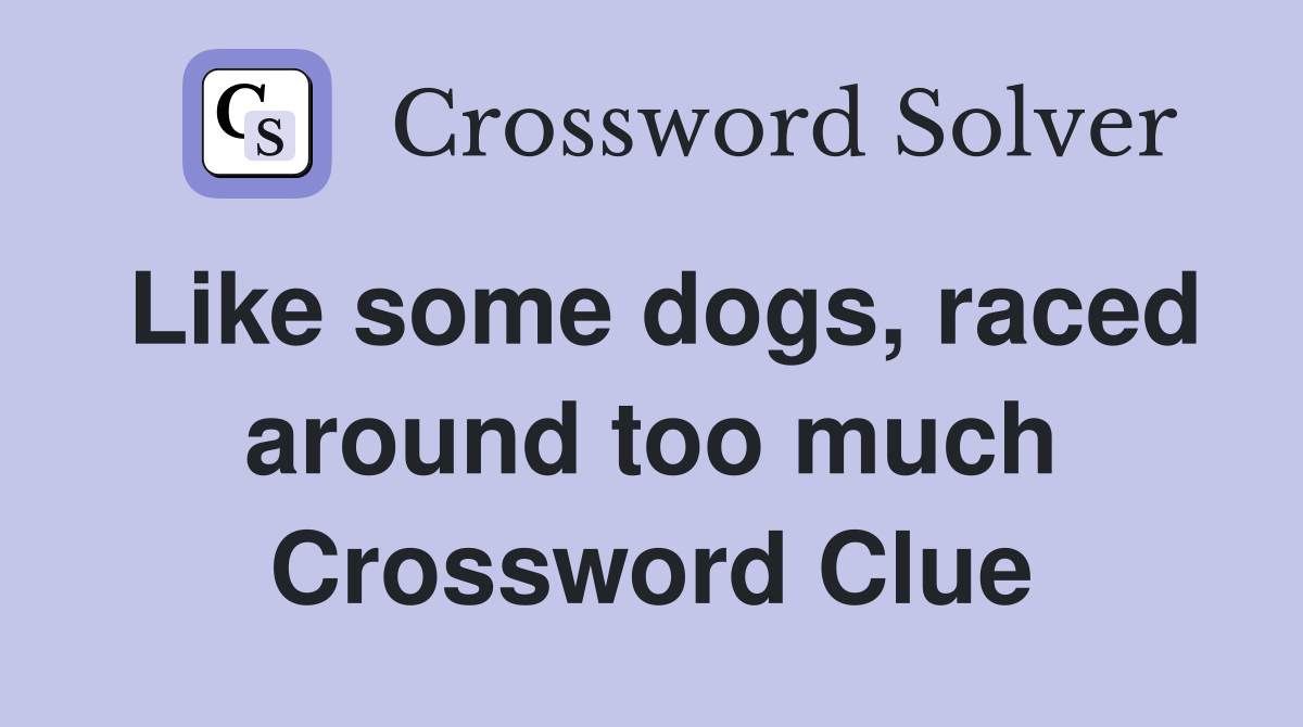 Like some dogs, raced around too much Crossword Clue