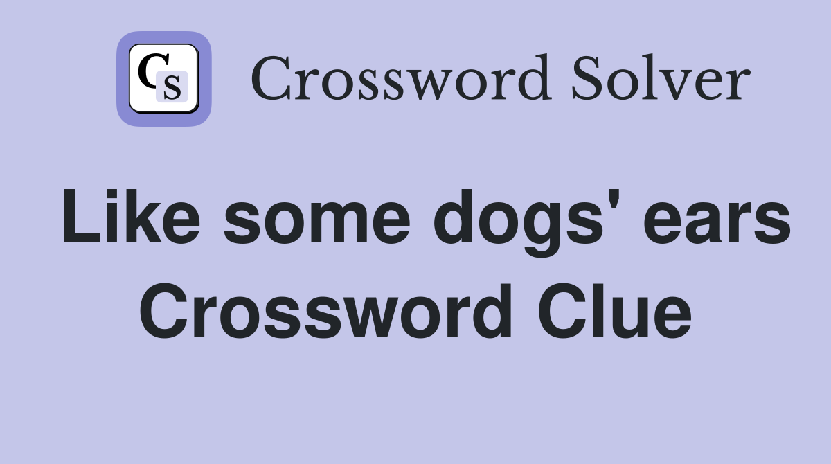 Like some dogs' ears Crossword Clue