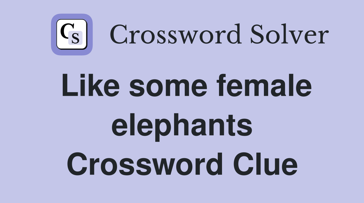 Like some female elephants Crossword Clue
