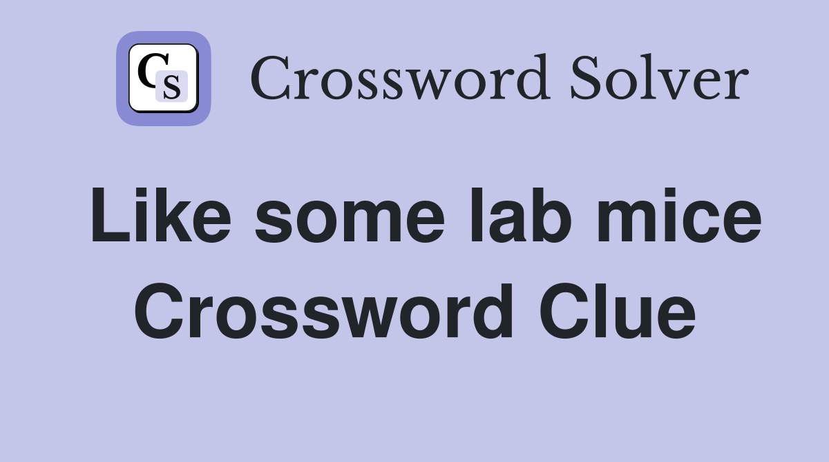 Like some lab mice Crossword Clue