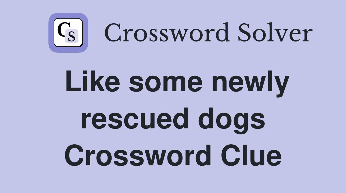 Like some newly rescued dogs Crossword Clue
