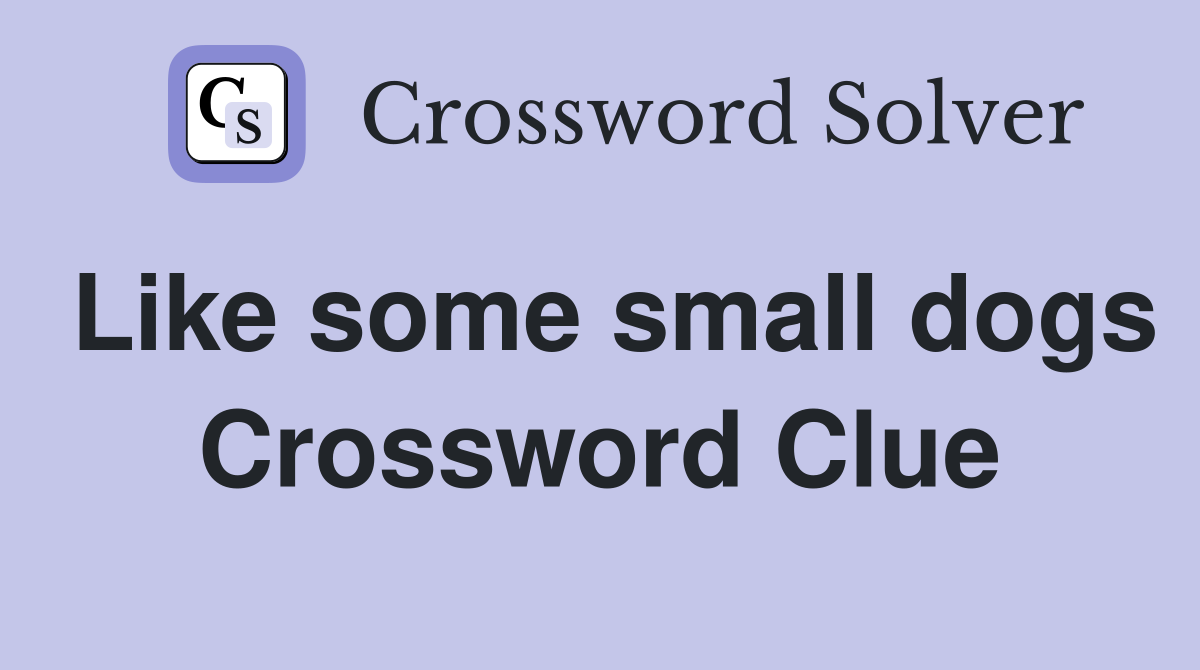 Like some small dogs Crossword Clue