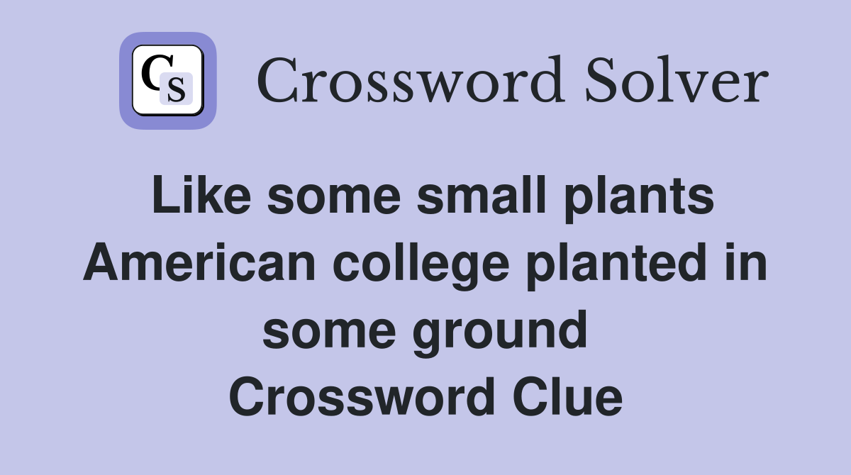 Like some small plants American college planted in some ground Crossword Clue