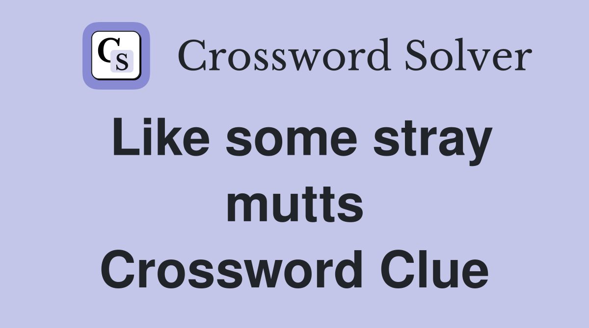 Like some stray mutts Crossword Clue