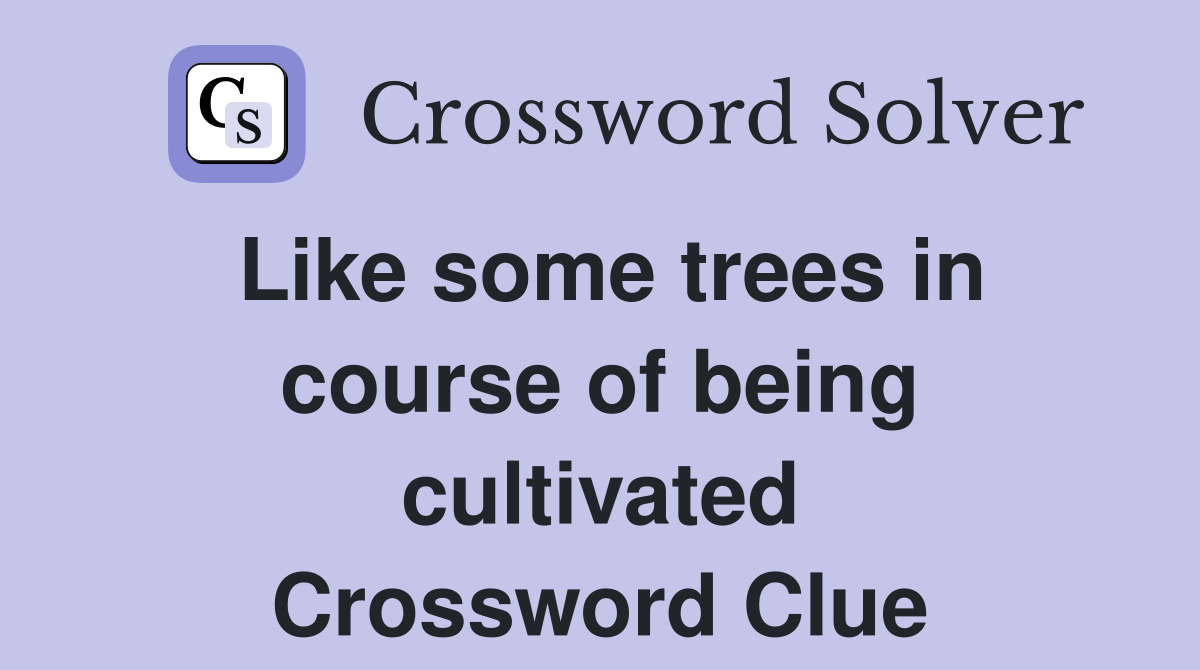 Like some trees in course of being cultivated Crossword Clue