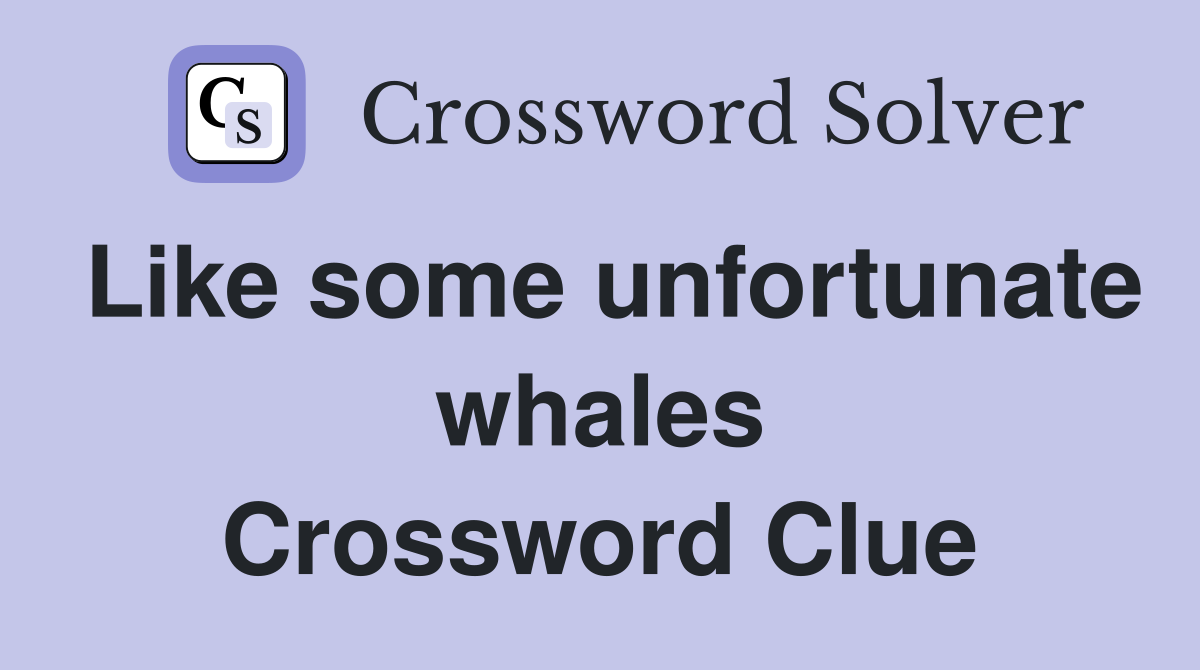 Like some unfortunate whales Crossword Clue