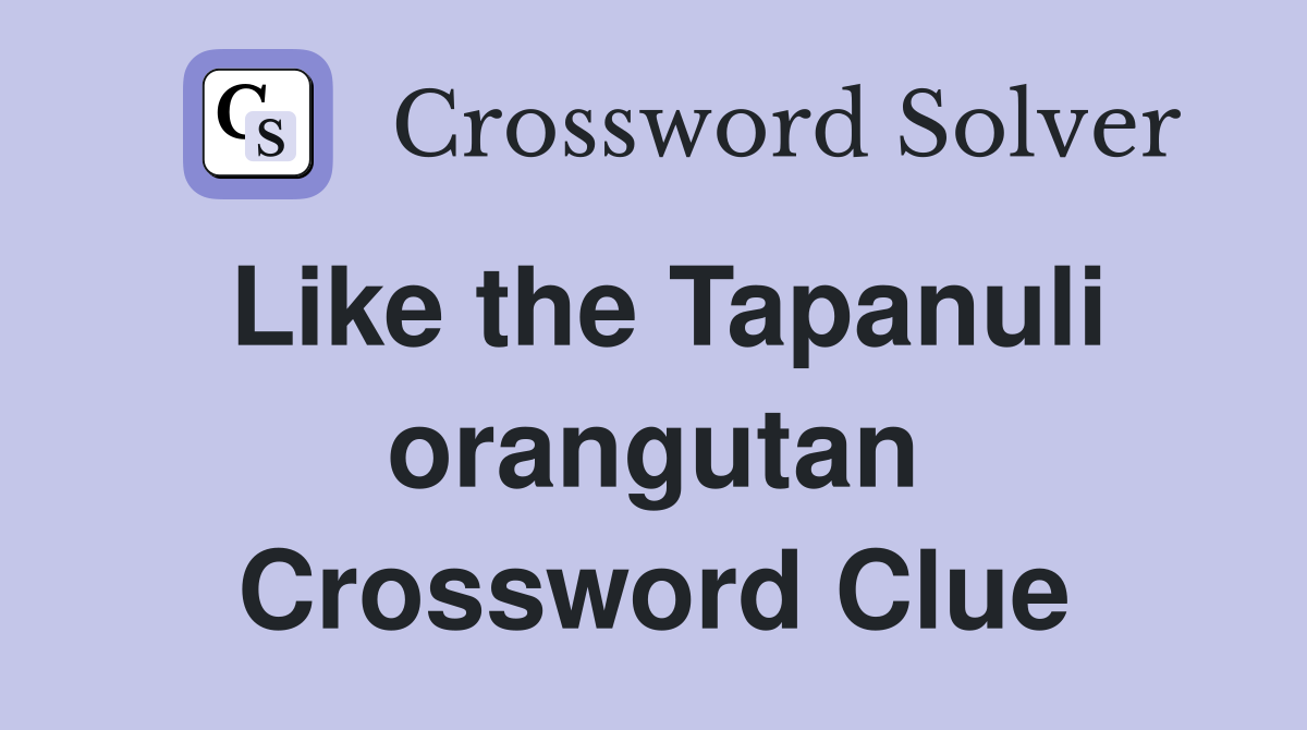 Like the Tapanuli orangutan Crossword Clue