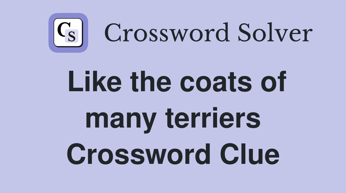 Like the coats of many terriers Crossword Clue
