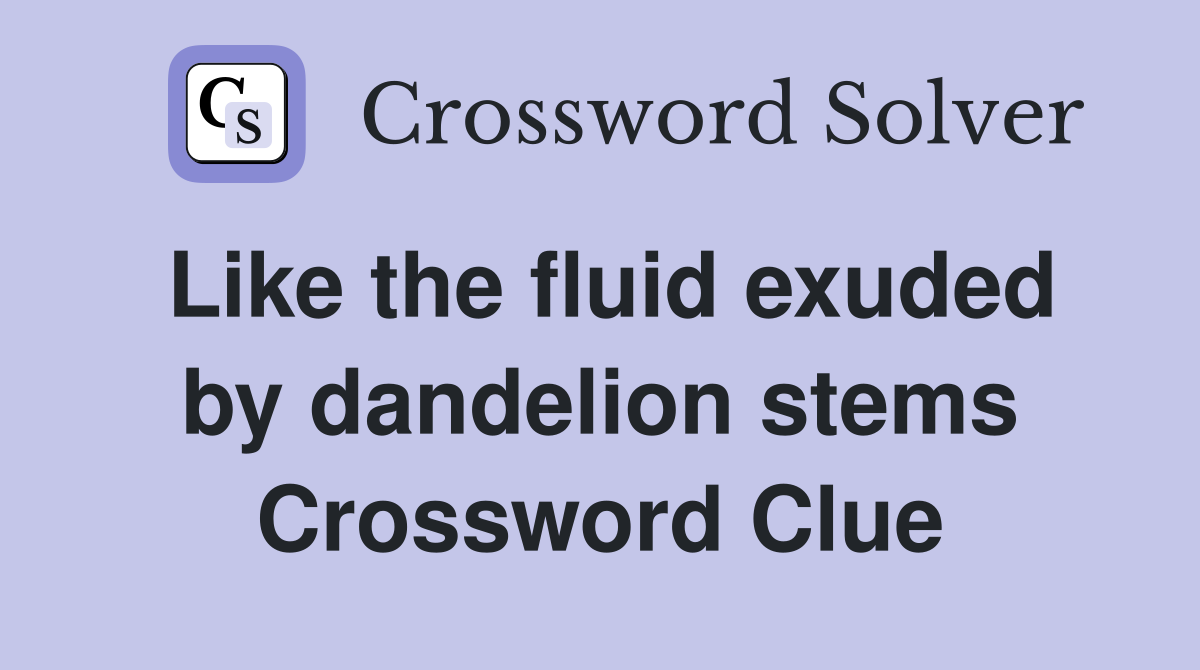 Like the fluid exuded by dandelion stems Crossword Clue