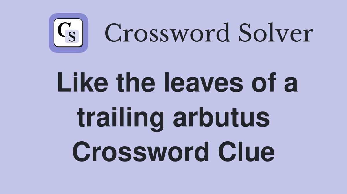 Like the leaves of a trailing arbutus Crossword Clue