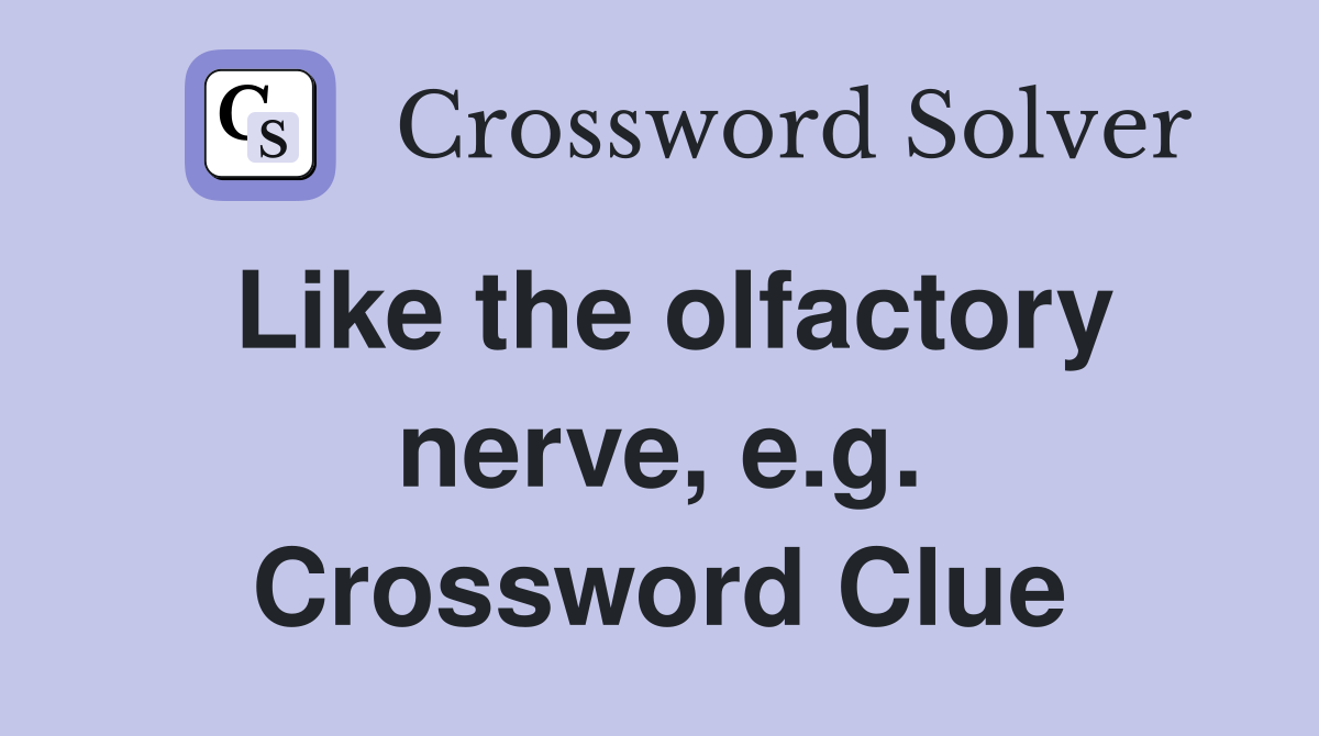 Like the olfactory nerve, e.g. Crossword Clue