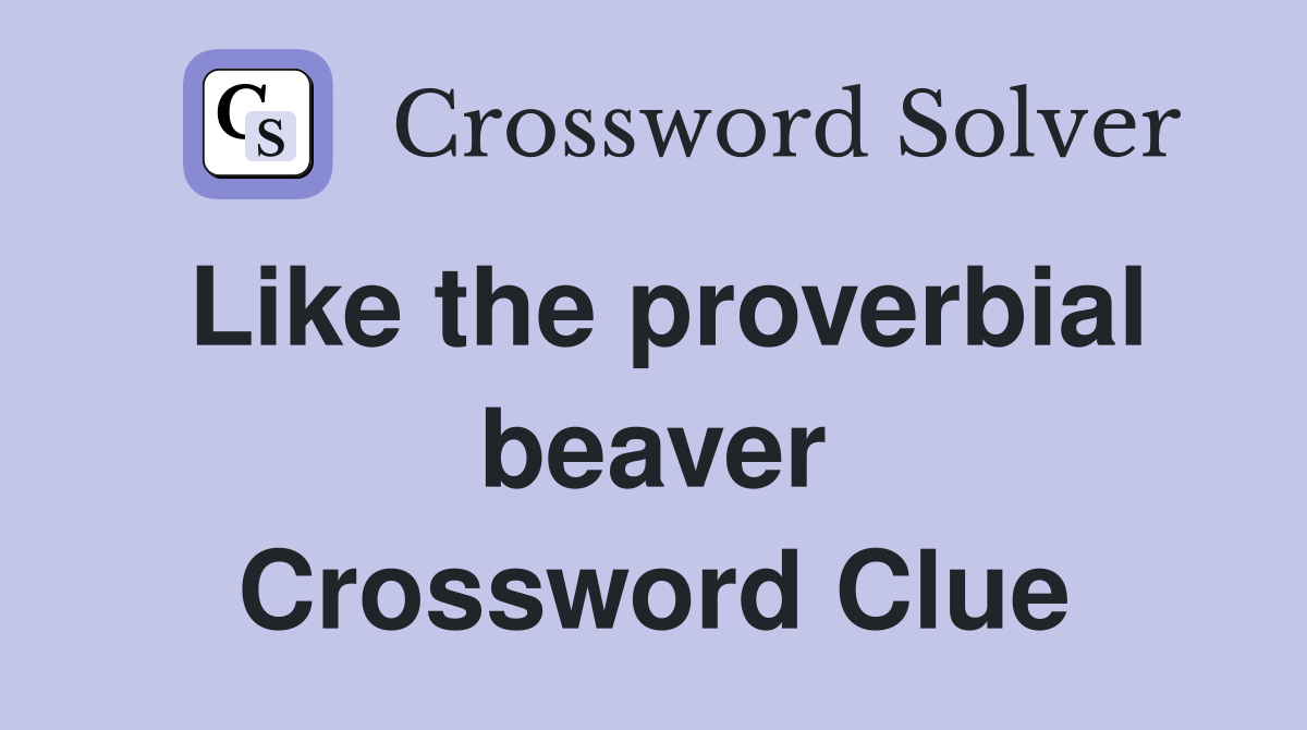 Like the proverbial beaver Crossword Clue
