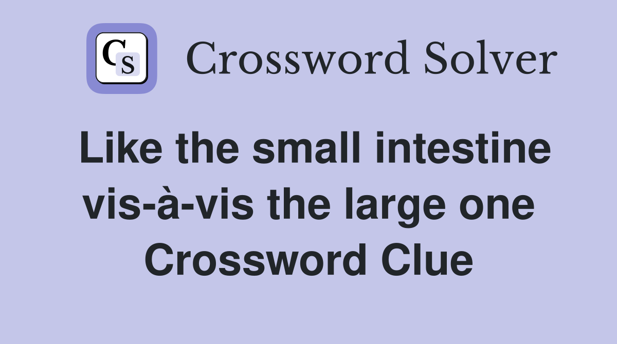 Like the small intestine vis-à-vis the large one Crossword Clue