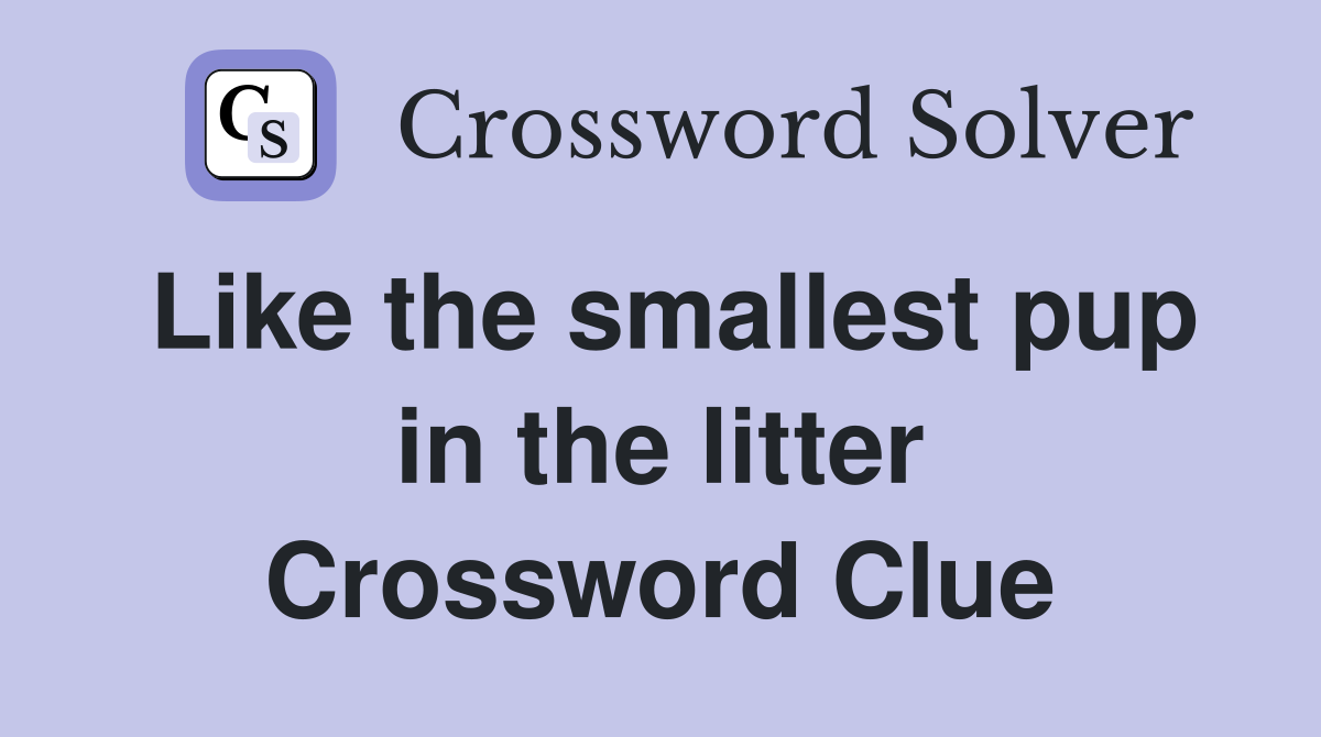 Like the smallest pup in the litter Crossword Clue