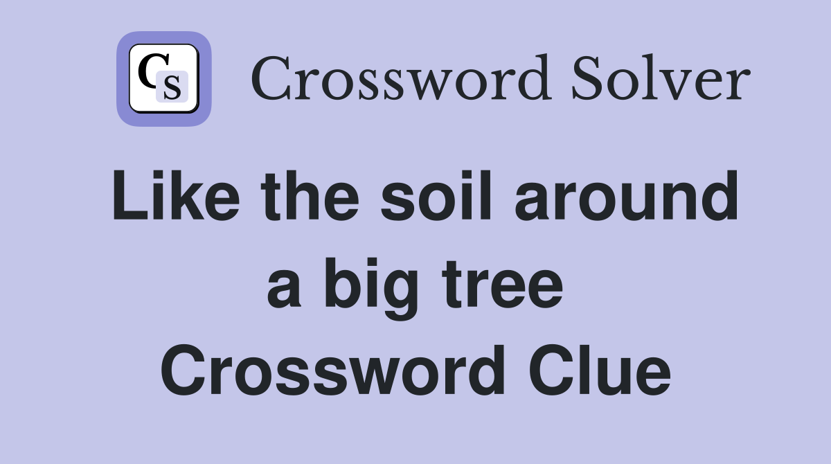 Like the soil around a big tree Crossword Clue