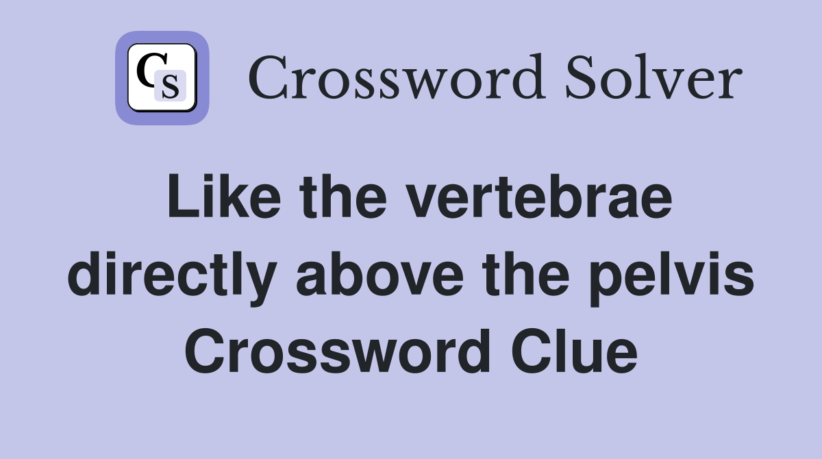 Like the vertebrae directly above the pelvis Crossword Clue
