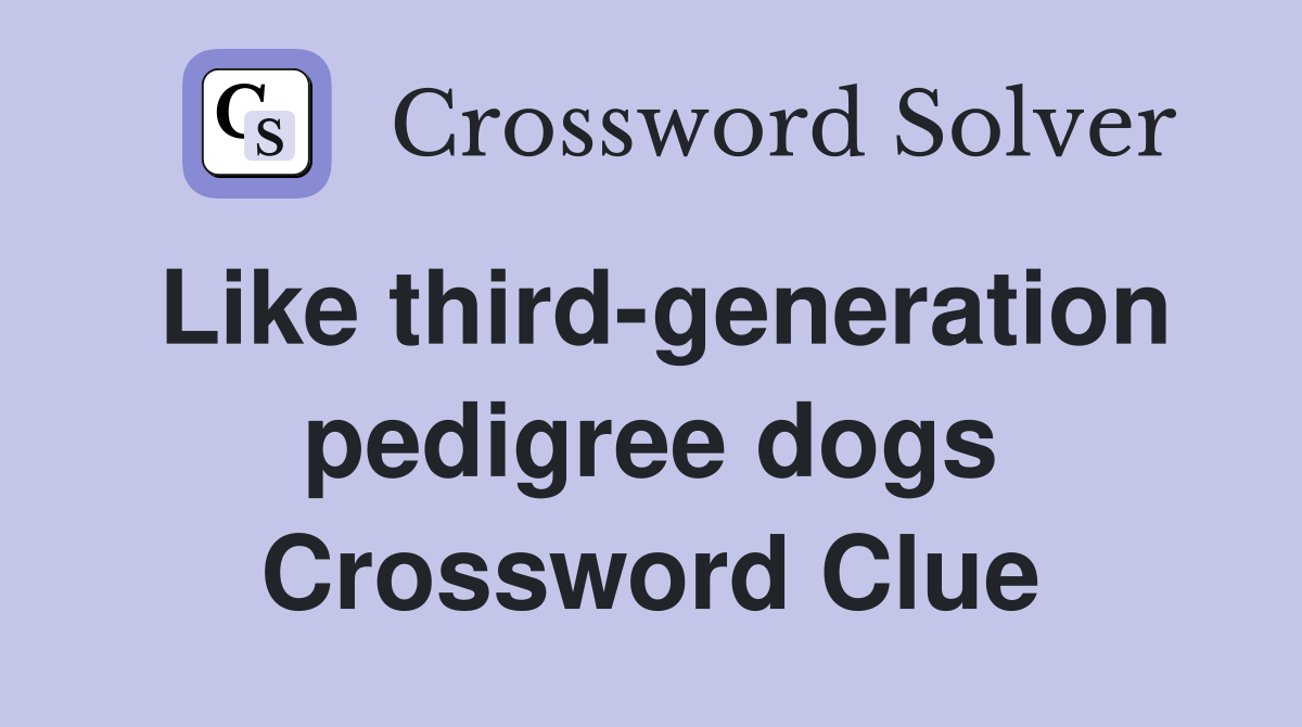 Like third-generation pedigree dogs Crossword Clue