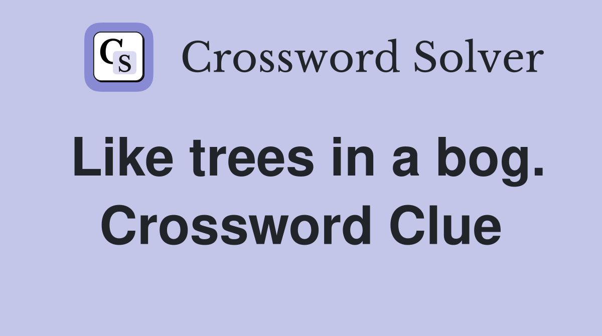 Like trees in a bog. Crossword Clue