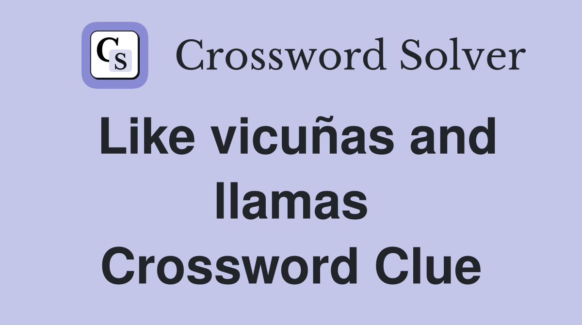 Like vicuñas and llamas Crossword Clue