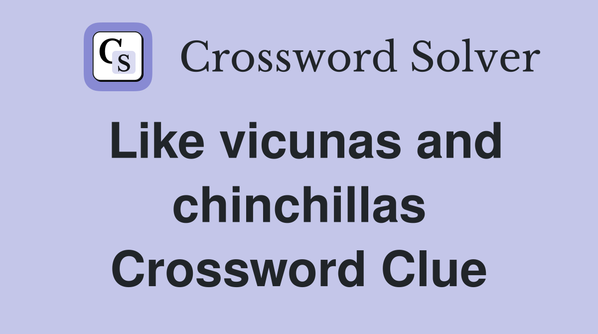 Like vicunas and chinchillas Crossword Clue