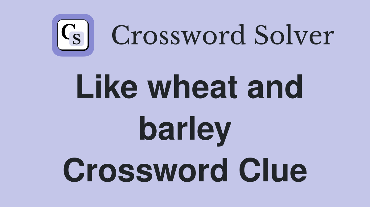Like wheat and barley Crossword Clue
