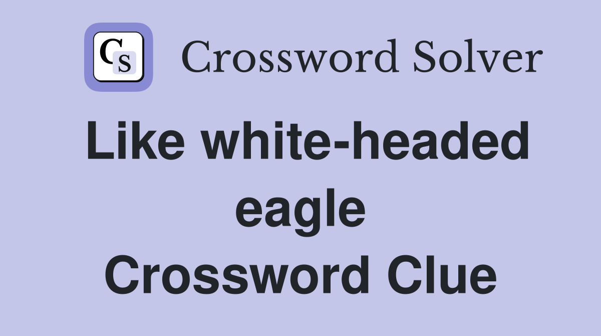 Like white-headed eagle Crossword Clue