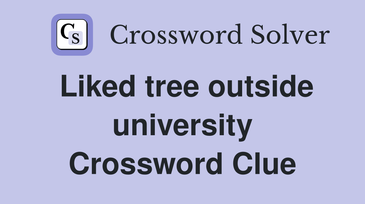 Liked tree outside university Crossword Clue