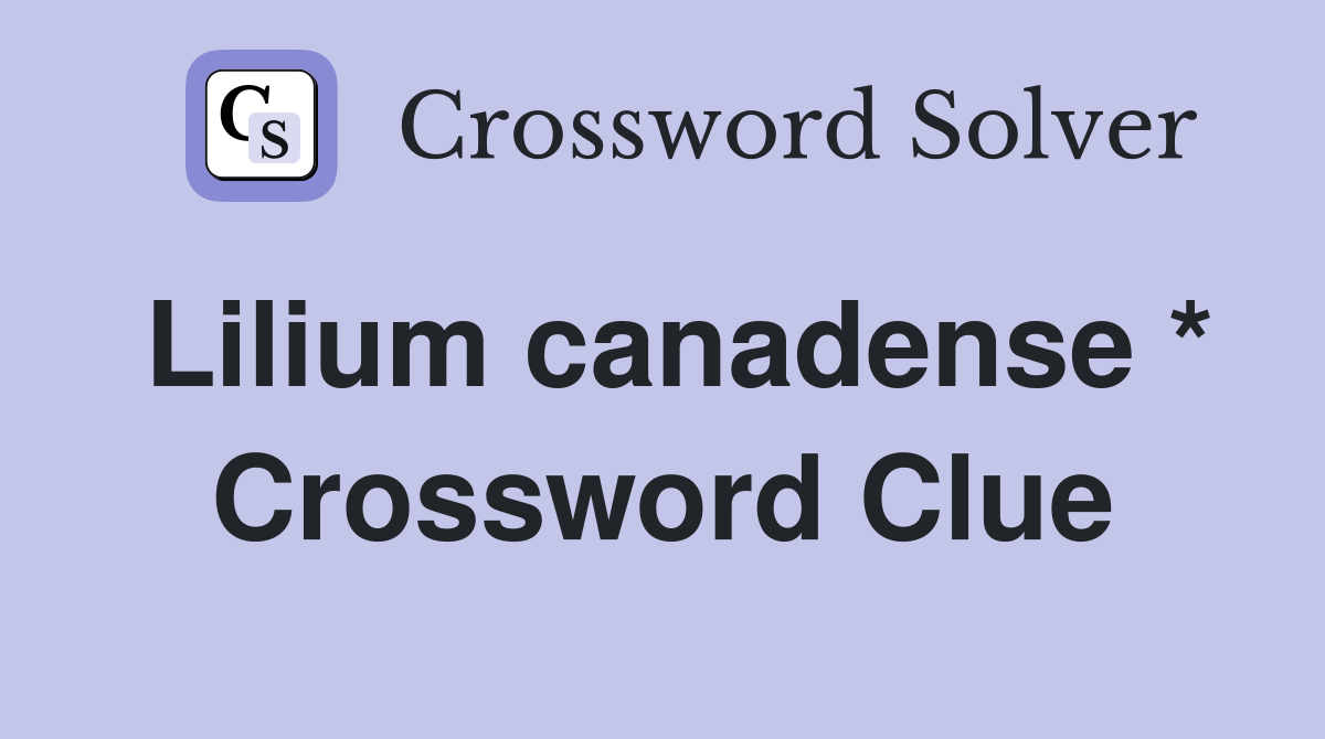 Lilium canadense * Crossword Clue