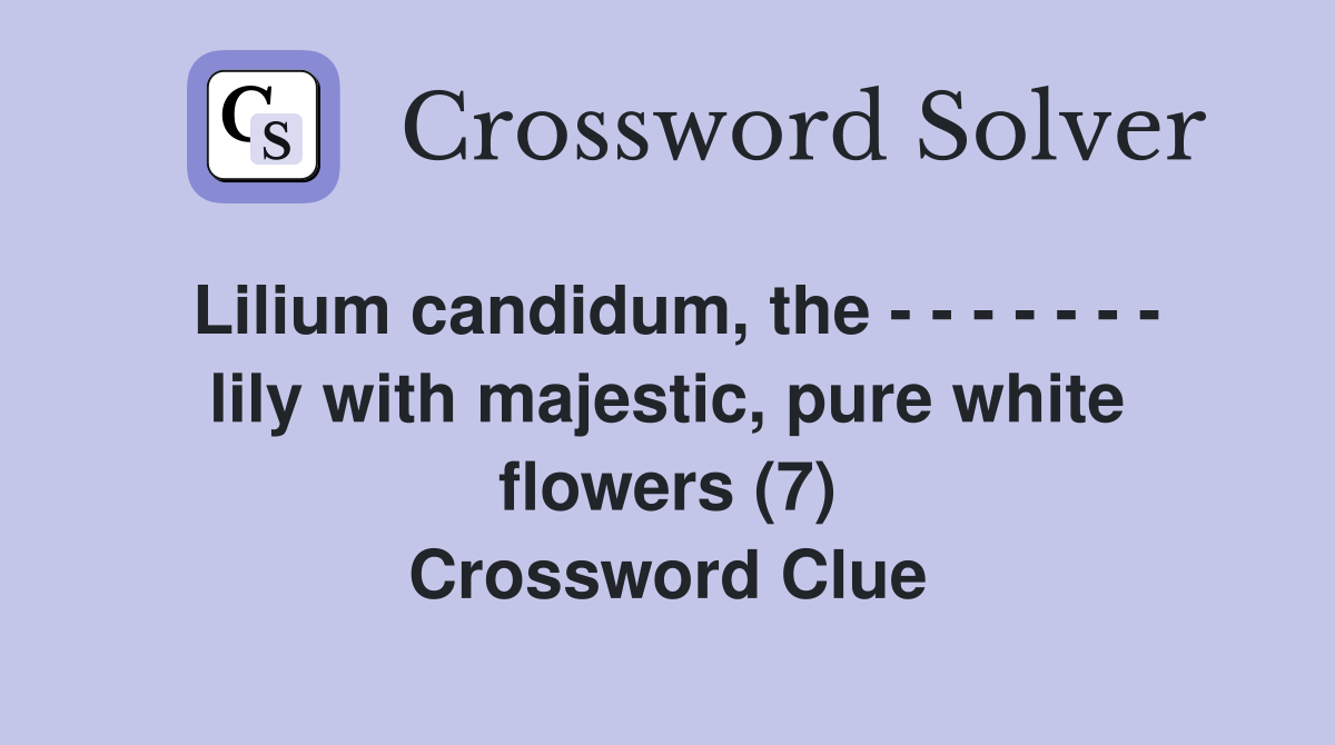 Lilium candidum, the - - - - - - - lily with majestic, pure white flowers (7) Crossword Clue
