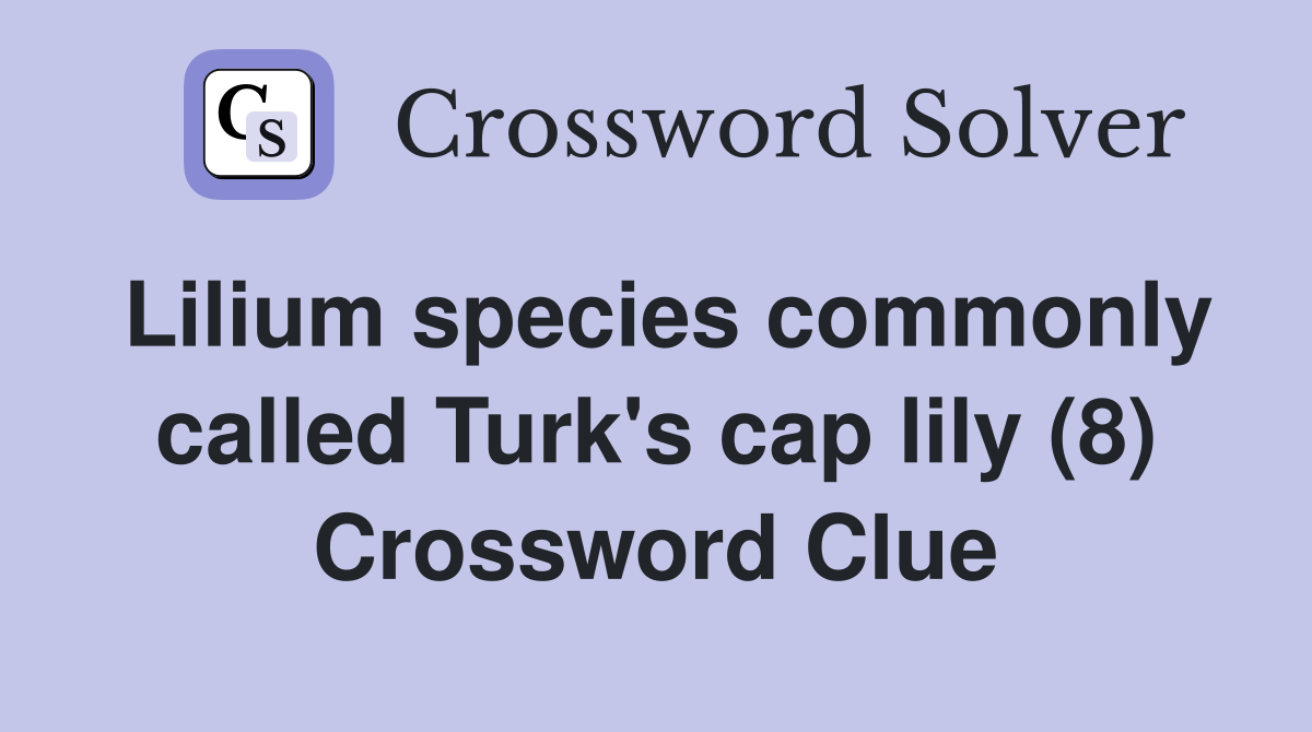 Lilium species commonly called Turk's cap lily (8) Crossword Clue