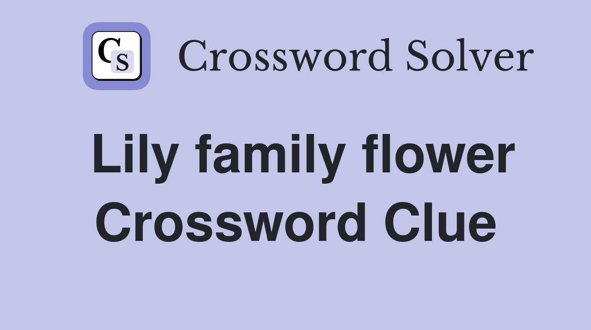 Lily family flower Crossword Clue