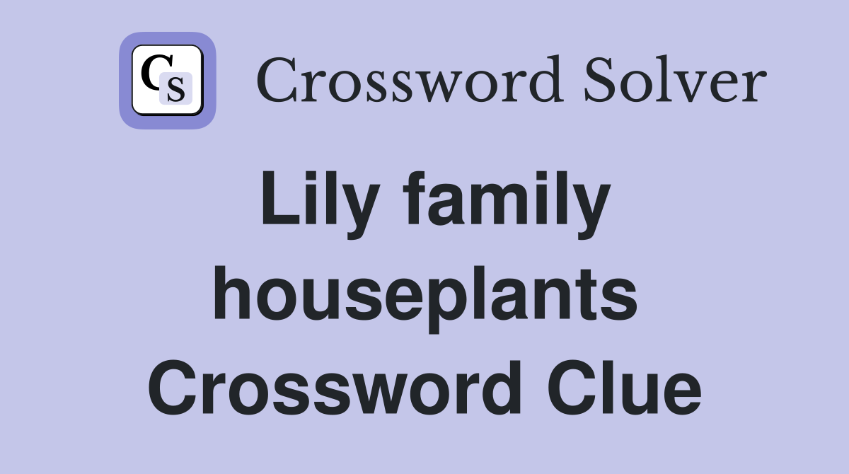 Lily family houseplants Crossword Clue