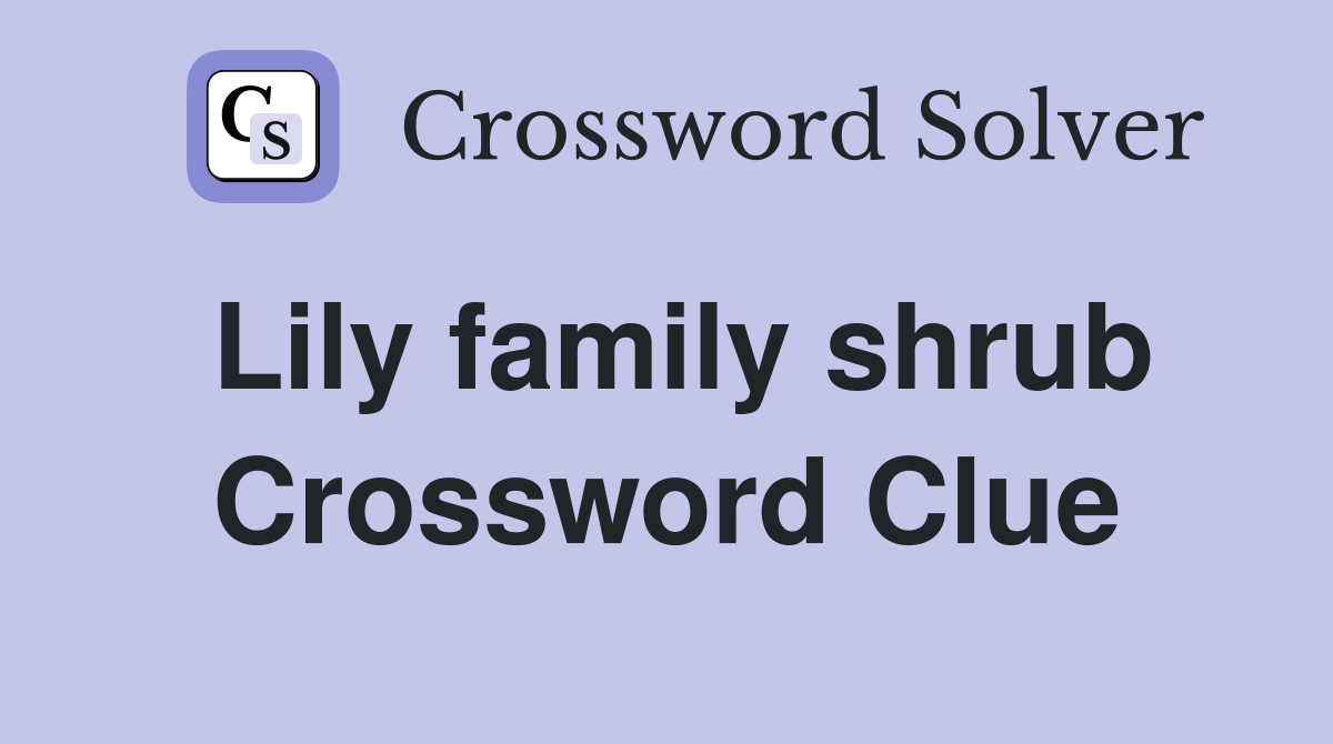 Lily family shrub Crossword Clue