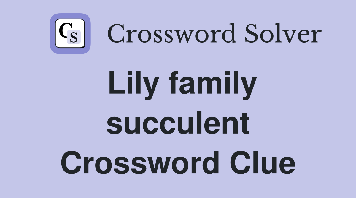 Lily family succulent Crossword Clue