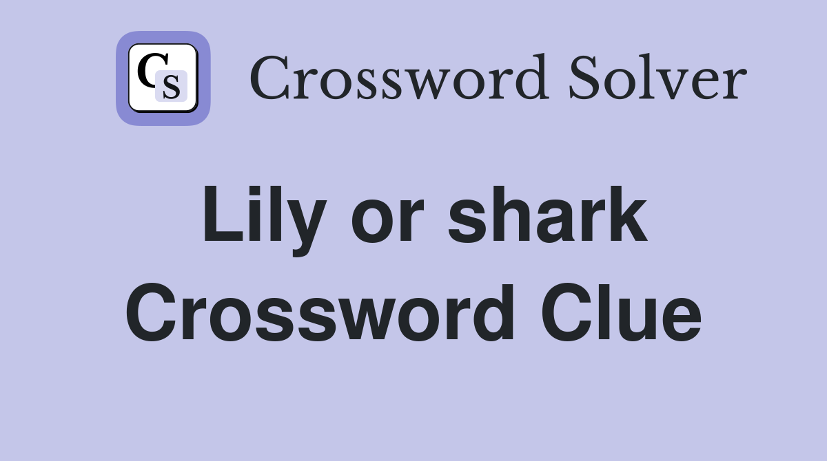 Lily or shark Crossword Clue