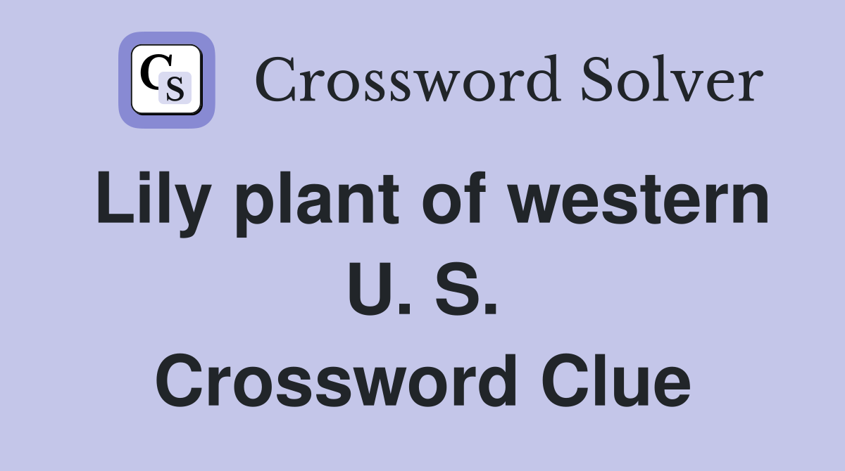Lily plant of western U. S. Crossword Clue