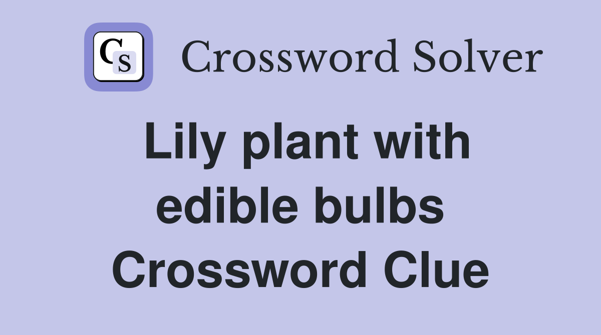 Lily plant with edible bulbs Crossword Clue