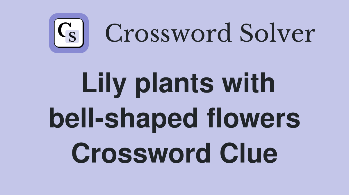 Lily plants with bell-shaped flowers Crossword Clue