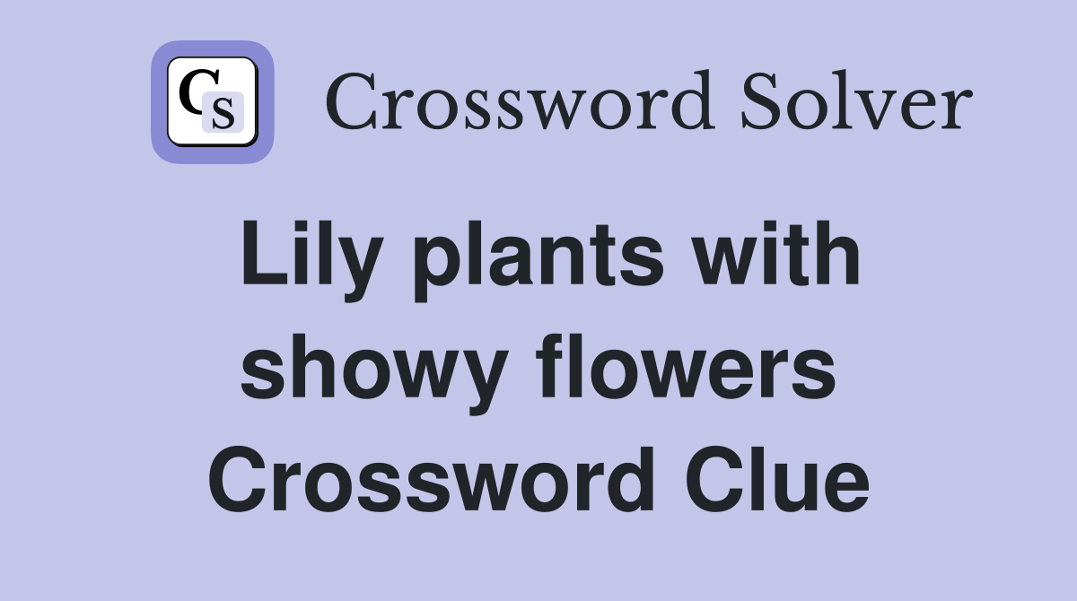 Lily plants with showy flowers Crossword Clue