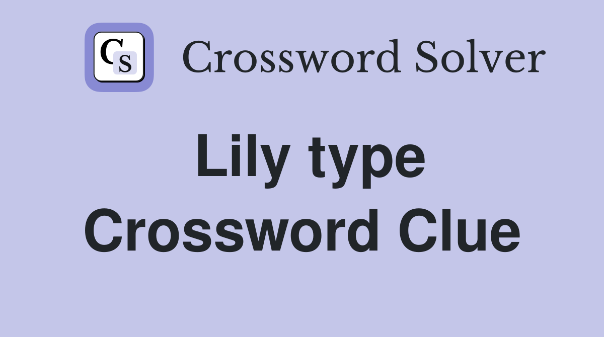 Lily type Crossword Clue